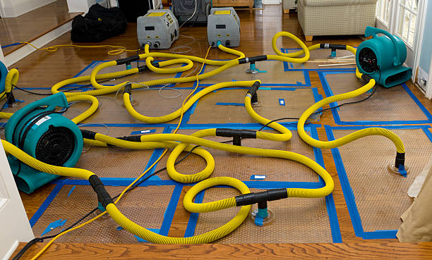 Professional Crawl Space Water Removal technician working in Potterville, MI
